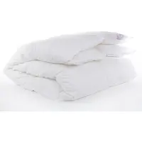 Bjorn Aurora Warm 240x220 - Dekbed - 100% Dons - Winter 240x220 - Tweepersoons Dekbed - Comfort en Ademend - Natuurlijke Wilde Eendendons - Anti Allergie Dekbed - Winter - Wasbaar - Warm - OEKO-TEX
