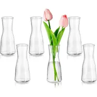 Famanu – Mini glazen vaasjes set van 6, modern en minimalistisch design, geschikt voor bloemen en tafeldecoratie in woonkamer en eetkamer
