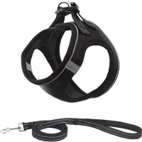 Famanu – Hondentuig met riem Anti-trekharnas Reflecterend borsttuig voor kleine honden - huisdieren - puppy's - katten (Zwart - XXS)