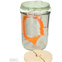 Famanu - Le Parfait draadbeugelglas 750 ml (incl. rubberen ring, glas voor fermenteren/inmaken, inmaakglas met receptenboek) 44839