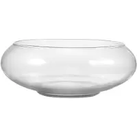 Famanu – Heldere Vis Schaal Ronde Bloempot Vetplant Pot Kom Mini Hydrocultuur Plant Container Voor Bonsai Vetplanten Cactussen