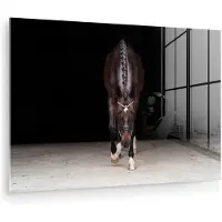 MuchoWow Glasschilderij 150x100 cm - Schilderij acrylglas - Paard - Modern - Portret - Foto op glas - Muurdecoratie woonkamer - Wanddecoratie slaapkamer - Schilderijen
