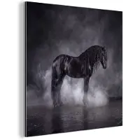 MuchoWow Aluminium schilderij 50x50 cm - Wanddecoratie metaal - Paard - Magisch - Zwart - Metalen muurdecoratie woonkamer - Decoratie industrieel - Foto op dibond - Industriële accessoires slaapkamer
