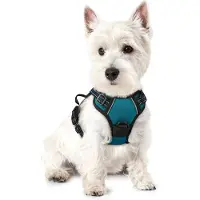 Markenlos – Anti-trek hondentuig no-pull, gewatteerd hondenvest met handvat en frontclip, reflecterend en verstelbaar, donkergroen, maat XS