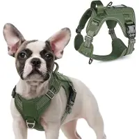 Markenlos Hondentuig: Tactisch hondentuig met Molle-systeem en handgreep - Reflecterend, verstelbaar hondentuig voor kleine honden - Groen - Maat S