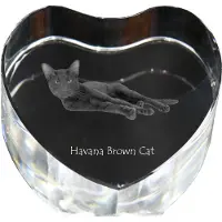 Art-Dog Havanaanse bruine kat - kristallen klok met foto van een kat, hartvormige wandklok, gepersonaliseerde staande klok van het merk