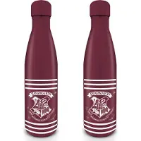 Pyramid Harry Potter - Streepjes & Kuifje metalen drinkfles