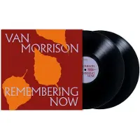 Pias Van Morrison - Remembering Now (2 LP)