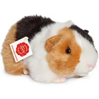 Sonstiges Cavia, driekleurig, ongeveer 20 cm, 1 stuk