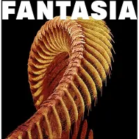 Modulor Cnt FANTASIA (LOSER EDITION)(SPARKLE STARLIGHT)