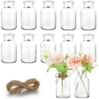 Famanu - 12 mini-glazen vazen – kleine vazen voor tafeldecoratie bruiloft – decoratieve vazen met koord – mini-glazen vaas voor moderne tafeldecoratie – vaatwasmachinebestendig – 130 ml