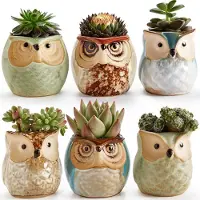 Famanu - Uilpotten, vloeiende glazuurbasis, seriële set keramische vetplantpot, cactus-/plantenpot, bloempot, containerplanter, cadeau-idee 6,35 cm