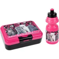 Starpak PG UND FLASCHENBOX VON SWEET CAT PB 1/24