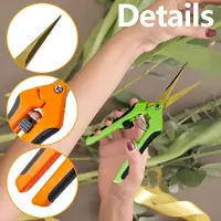 Famanu - Tuinschaar Oogstschaar met Gebogen Titanium Gecoate Bladen, Snoeischaar, Plantenschaar voor Tuin, Bonsai, Bloemen, Planten, Oogst, Fruit, Boeket, Rozenschaar (2stuks-Gebogen+Titanium)
