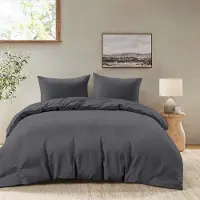 Famanu Dekbedovertrek 200x220 cm met 2 kussenslopen 80x80 cm - Donkergrijs - 200x220 volwassen bedset van 100 procent microvezel - Gecertificeerd vrij van chemicaliën (Oeko TEX)