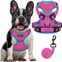 Famanu – Hondentuig en riemset voor kleine en middelgrote honden - anti-trek - met reflecterend - ademend gaasdoek - puppyvest voor training - controle - veilig wandelen