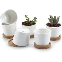 Famanu - Set van 6 keramische ronde vetplantenpotten met bamboe onderzetter 6,5 cm wit