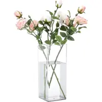 Famanu – Transparante Acryl Vaas 12 x 30 cm Vierkante Acryl Vaas Elegante Decoratie voor Thuis Boekenkast Slaapkamer Kantoor Keuken zwart