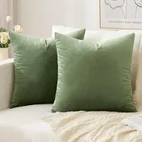 Famanu – Set van 2 fluwelen kussenslopen - huishoudelijke decoratieve kussenhoezen - zachte sofakussen voor bank - slaapkamer - woonkamer - 40 x 40 cm - groen