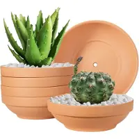 Famanu - Set van 6 terracotta kleipotten 16 cm met drainage