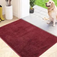 Famanu Anti-stof en anti-slip deurmat van 60 x 90 cm, wasbaar in de wasmachine, entreemat van absorberende zachte microvezel voor hond, entree, deur en hal