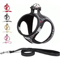 Famanu – Hondentuig voor kleine honden met riem - anti-trektuig Reflecterend ademend borsttuig - puppytuig voor kleine - middelgrote honden (L - Zwart geruit)