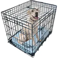 Famanu - Kleine hondenkooi, 24 inch, dubbele deur, metalen lade en hondenmat