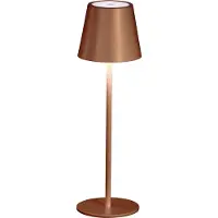 FISCHER&HONSEL GMBH Buitenlamp Viletto Outdoor Rust Coloured