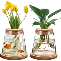 Famanu – Hydrocultuur plantenvazen - glazen vaas met voet en kurk - transparante vaas voor hydrocultuur - thuis - kantoor - tafeldecoratie - 2 stuks
