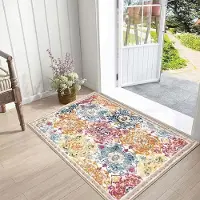 Famanu Voordeurmat, 60 x 90 cm, laag profiel, vuilvangmat, super absorberende vloermat, voordeur, zacht antislip, moddervanger, deurmat, voor huisdieren, entree, keuken, binnen, thuis, decoratie,