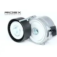 RIDEX 540T0022 Spanner, Poly V-riem