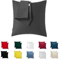 Famanu - Set van 2 Kussensloop 45x45 Microvezel Premium Super Zachte Kussenslopen Resistent en Hypoallergeen Anti-Mijt Kussenbeschermer Decoratief met Verborgen rits Wasbaar