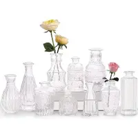 Famanu - Mini-vazenset, 10 stuks, kleine glazen vaas, vintage decoratieve vazenset, verschillende maten, bloemenvaas voor tafeldecoratie, middenstukken, bruiloftsdecoraties