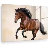 MuchoWow Glasschilderij 60x40 cm - Schilderij acrylglas - Paard - Galop - Energie - Foto op glas - Muurdecoratie woonkamer - Wanddecoratie slaapkamer - Schilderijen