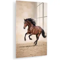 MuchoWow Glasschilderij 60x90 cm - Schilderij acrylglas - Paard - Galop - Energie - Foto op glas - Muurdecoratie woonkamer - Wanddecoratie slaapkamer - Schilderijen