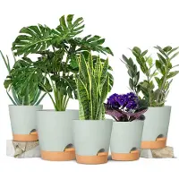 Famanu - Plantenpotten 17,8/12,7 cm, zelfbewaterende plantenbakken met afvoeropening, plastic bloempotten, kwekerij plantpot voor alle kamerplanten, bloemen en cactussen