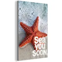 MuchoWow Aluminium schilderij 40x60 cm - Wanddecoratie metaal - Sea you soon - Zeester - Zee - Metalen muurdecoratie woonkamer - Decoratie industrieel - Foto op dibond - Industriële accessoires slaapkamer