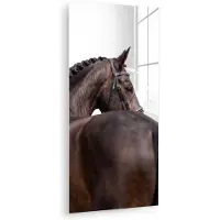 MuchoWow Glasschilderij 40x80 cm - Schilderij acrylglas - Portret - Paard - Elegant - Foto op glas - Muurdecoratie woonkamer - Wanddecoratie slaapkamer - Schilderijen
