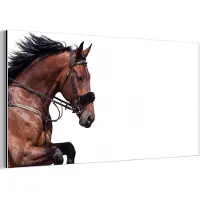 MuchoWow Aluminium schilderij 40x20 cm - Wanddecoratie metaal - Paard - Springen - Modern - Metalen muurdecoratie woonkamer - Decoratie industrieel - Foto op dibond - Industriële accessoires slaapkamer