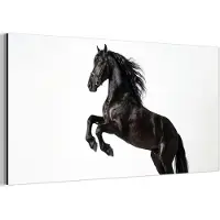 MuchoWow Aluminium schilderij 160x80 cm - Wanddecoratie metaal - Zwart - Paard - Portret - Metalen muurdecoratie woonkamer - Decoratie industrieel - Foto op dibond - Industriële accessoires slaapkamer