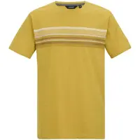 Regatta Rendro heren T-shirt met korte mouwen en grafische print