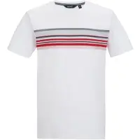 Regatta Rendro heren T-shirt met korte mouwen en grafische print