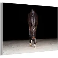 MuchoWow Aluminium schilderij 180x120 cm - Wanddecoratie metaal - Paard - Modern - Portret - Metalen muurdecoratie woonkamer - Decoratie industrieel - Foto op dibond - Industriële accessoires slaapkamer