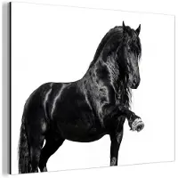 MuchoWow Aluminium schilderij 80x60 cm - Wanddecoratie metaal - Fries - Hengst - Modern - Metalen muurdecoratie woonkamer - Decoratie industrieel - Foto op dibond - Industriële accessoires slaapkamer