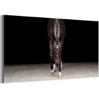 MuchoWow Aluminium schilderij 80x40 cm - Wanddecoratie metaal - Paard - Modern - Portret - Metalen muurdecoratie woonkamer - Decoratie industrieel - Foto op dibond - Industriële accessoires slaapkamer