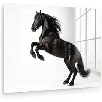 MuchoWow Glasschilderij 80x60 cm - Schilderij acrylglas - Zwart - Paard - Portret - Foto op glas - Muurdecoratie woonkamer - Wanddecoratie slaapkamer - Schilderijen