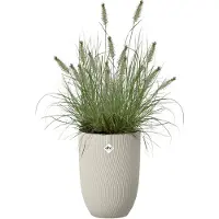 Elho pot sereh hg d30cm paddenstoel bg