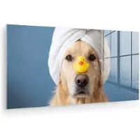 MuchoWow Glasschilderij 40x20 cm - Schilderij acrylglas - Hond - Badeend - Geel - Foto op glas - Muurdecoratie woonkamer - Wanddecoratie slaapkamer - Schilderijen