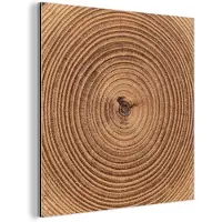 MuchoWow Aluminium schilderij 20x20 cm - Wanddecoratie metaal - Boomstam - Hout - Bruin - Metalen muurdecoratie woonkamer - Decoratie industrieel - Foto op dibond - Industriële accessoires slaapkamer