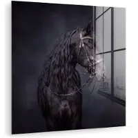 MuchoWow Glasschilderij 50x50 cm - Schilderij acrylglas - Portret - Paard - Donker - Foto op glas - Muurdecoratie woonkamer - Wanddecoratie slaapkamer - Schilderijen